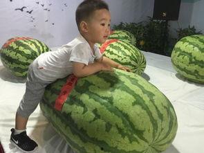 各个学校最新吃瓜大事件,盘点各大高校最新吃瓜大事件