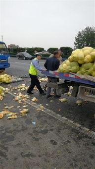 许昌东区吃瓜事件,网络热议背后的真相与反思