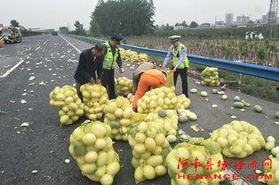 许昌东区吃瓜事件,网络热议背后的真相与反思