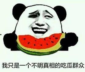 呼市吃瓜事件,一场网络热议背后的真相与反思