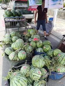 重庆黔江吃瓜事件真相,真相与反思