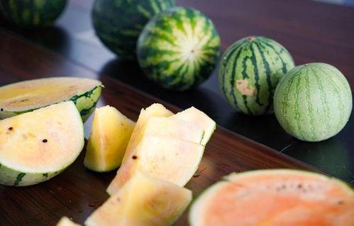 浙农林吃瓜事件,校园风波背后的真相与反思